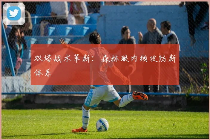 双塔战术革新：森林狼内线攻防新体系